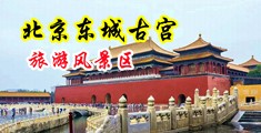 色老头大翻屌中国北京-东城古宫旅游风景区